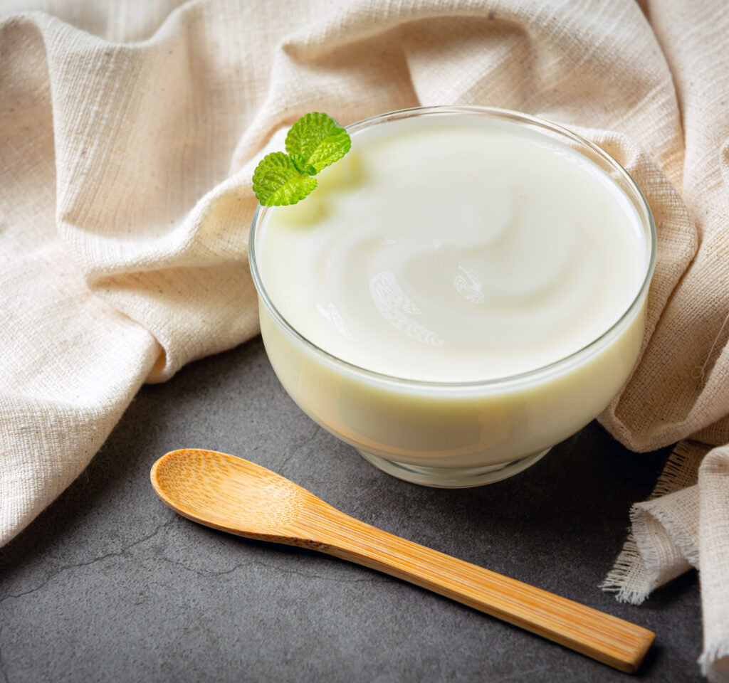 Homemade Yogurt